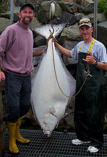 Lance's Sportfishing Adventures, Tofino Fishing Charters, Salmon, Halibut, Year Round Fishing, Clayoquot Sound, Tofino Accommodation, Tofino Fishing Charters, Salmon, Halibut, Year Round Fishing, Clayoquot Sound, Tofino Acccommodation