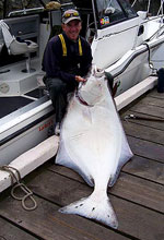 Lance's Sportfishing Adventures, Tofino Fishing Charters, Salmon, Halibut, Year Round Fishing, Clayoquot Sound, Tofino Accommodation, Tofino Fishing Charters, Salmon, Halibut, Year Round Fishing, Clayoquot Sound, Tofino Acccommodation