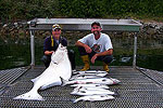 Contact Lance's Sportfishing Adventures, Tofino Fishing Charters, Salmon, Halibut, Year Round Fishing, Clayoquot Sound, Tofino Accommodation, Tofino Fishing Charters, Salmon, Halibut, Year Round Fishing, Clayoquot Sound, Tofino Acccommodation