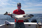 Lance's Sportfishing Adventures, Tofino Fishing Charters, Salmon, Halibut, Year Round Fishing, Clayoquot Sound, Tofino Accommodation, Tofino Fishing Charters, Salmon, Halibut, Year Round Fishing, Clayoquot Sound, Tofino Accommodation
